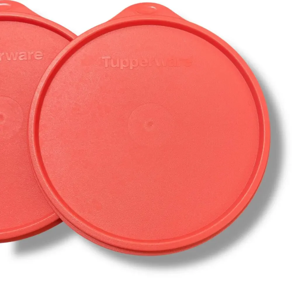 Tupperware Replacement Seal 6.5